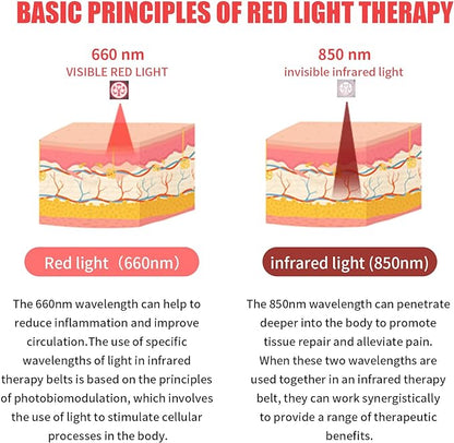 ThermaLight360 Red Light Belt
